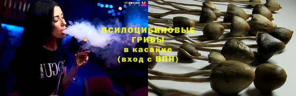 метадон Арсеньев